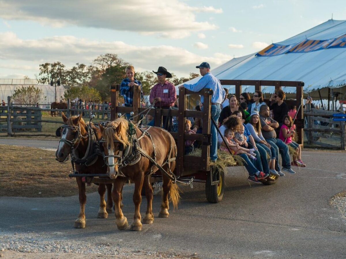 Hayrides & rides at Homestead Fair