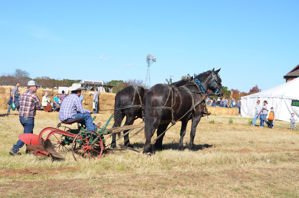 Photograph from the Fair archive