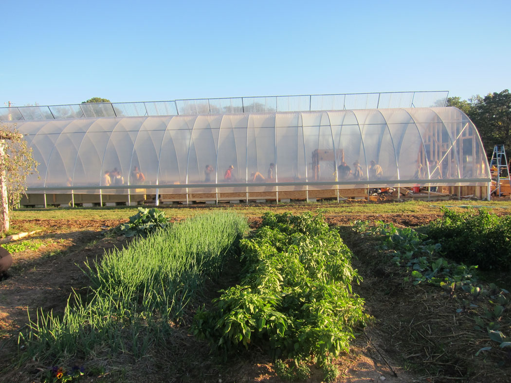 Aquaponics Greenhouse